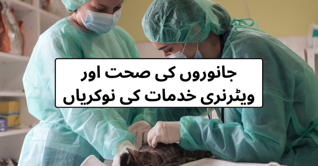 Animal Health & Veterinary Services Jobs 2024 Animal Health & Veterinary Services Jobs 2024
