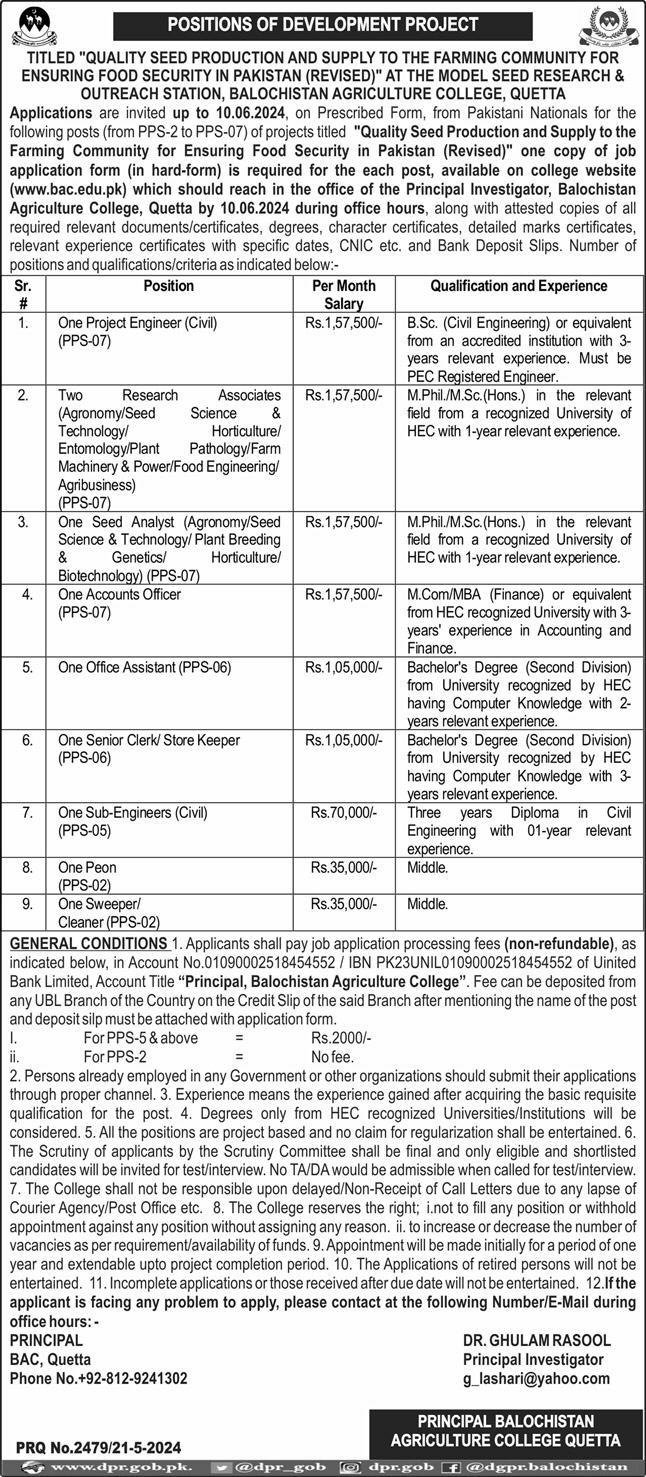 Balochistan Agriculture College Jobs 2024