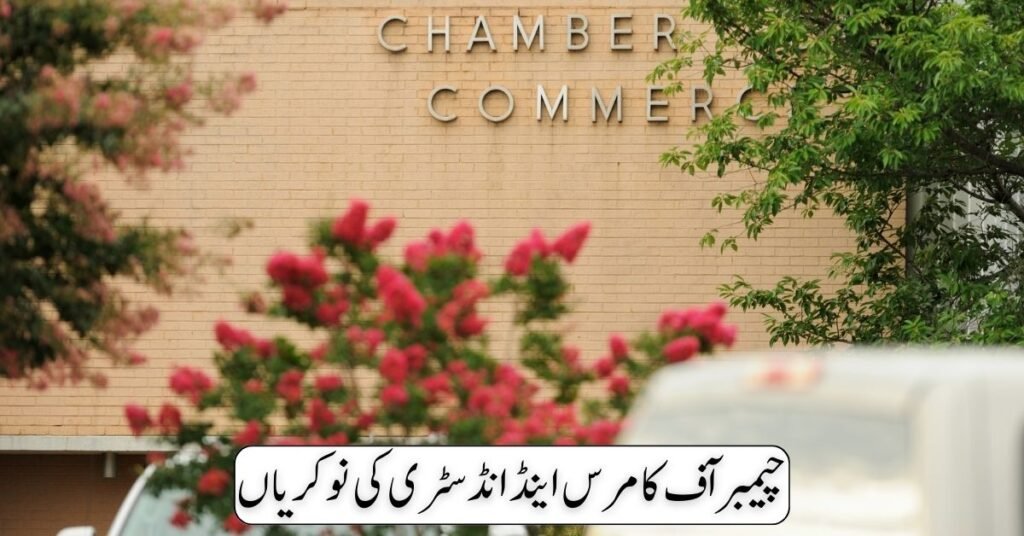 Chamber Of Commerce & Industry Jobs 2024