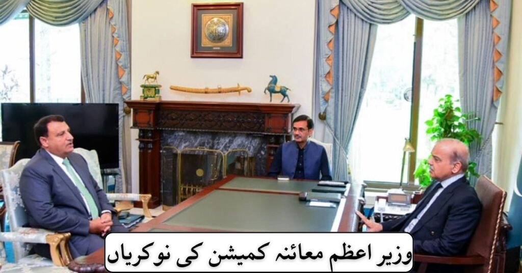 Prime Ministers Inspection Commission Jobs