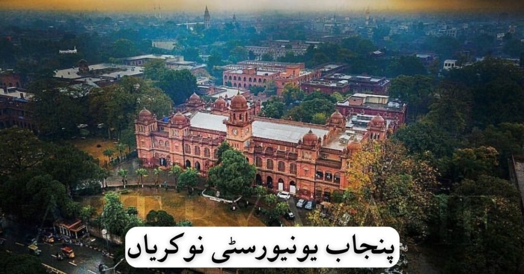 University Of Punjab Jobs 2024 University Of Punjab Jobs 2024