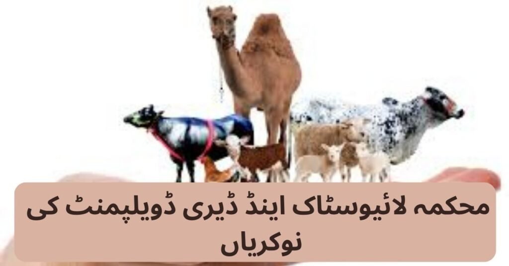 Livestock And Dairy Development Department Jobs 2024 Livestock And Dairy Development Department Jobs 2024