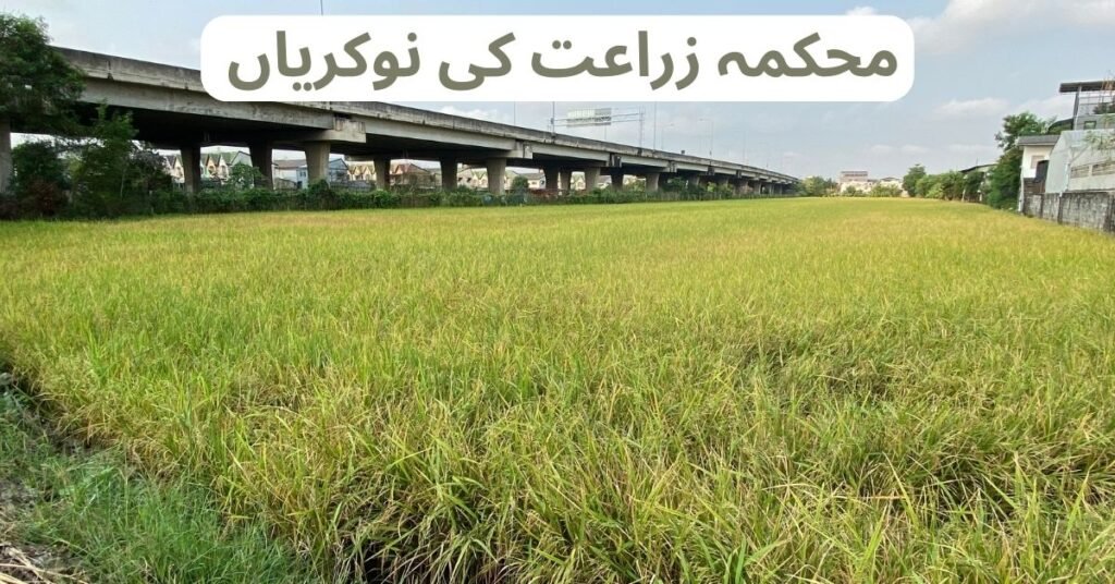 Agriculture Internship Program 2024 Agriculture Internship Program 2024