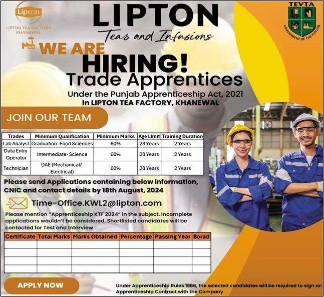 Lipton Tea Factory Jobs 2024