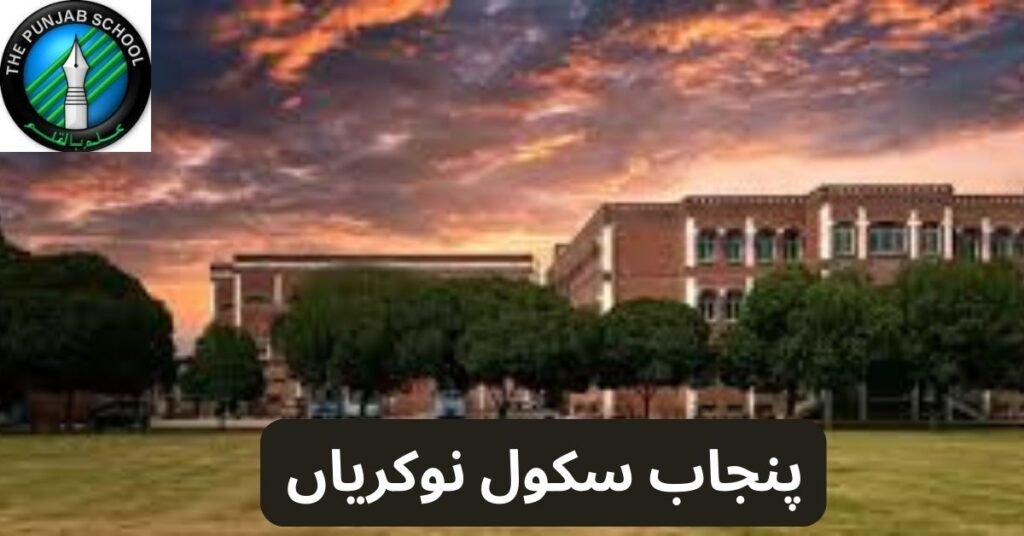 The Punjab School Jobs 2024 The Punjab School Jobs 2024