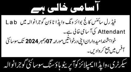 Federal Science College Wapda Town Jobs 2024