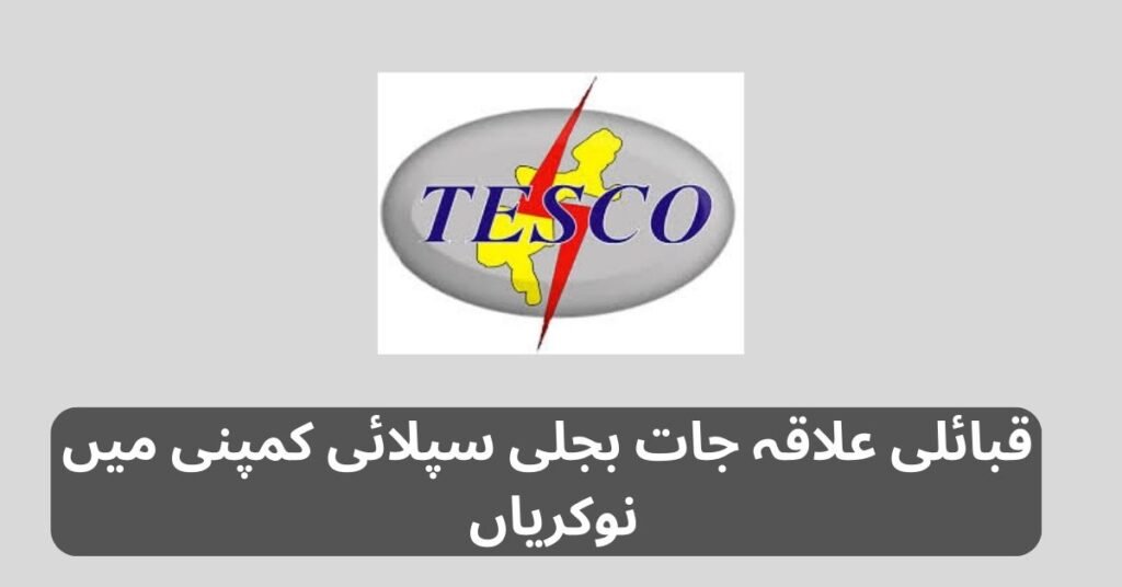 Tribal Areas Electricity Supply Company Jobs 2025 Tribal Areas Electricity Supply Company Jobs 2025