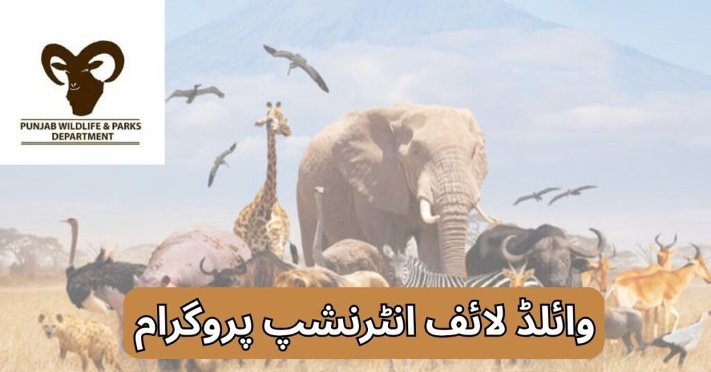 Wildlife Internship Program 2025 Wildlife Internship Program 2025