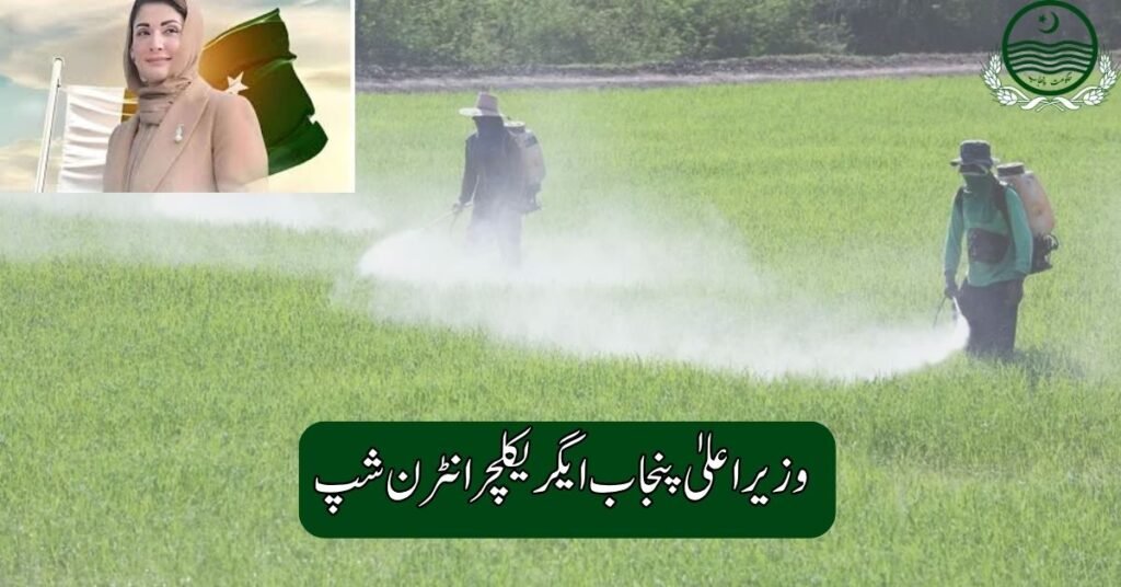 CM Punjab Agriculture Internship 2025 CM Punjab Agriculture Internship 2025