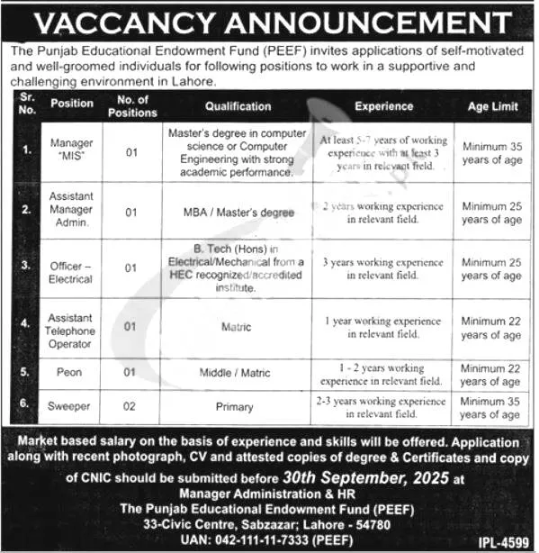 Punjab Educational Endowment Fund Jobs 2025 Advertisement