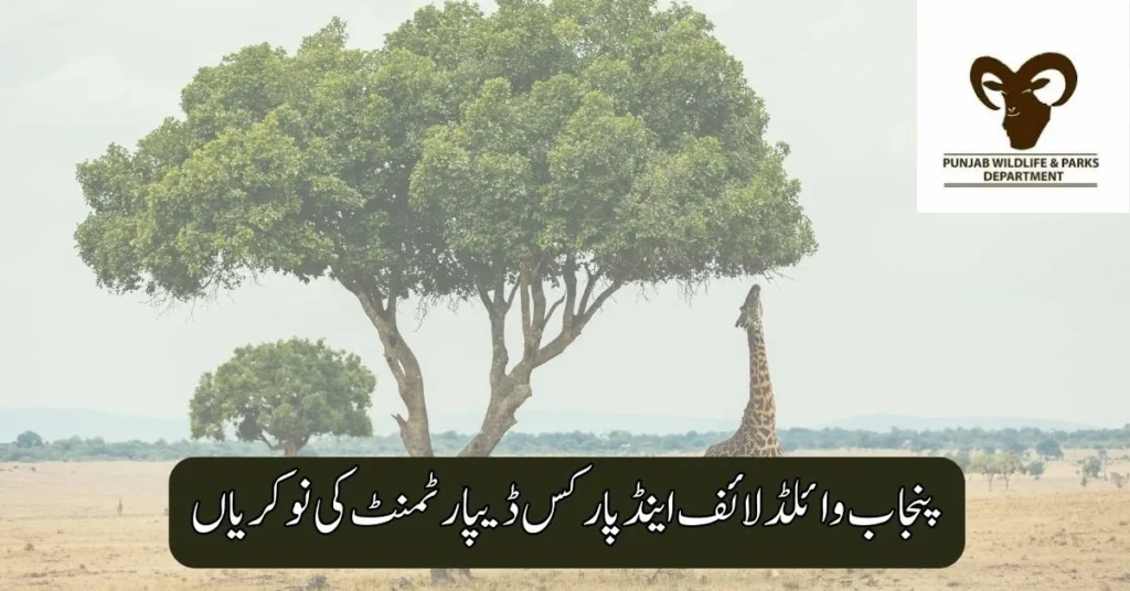 Punjab Wildlife & Parks Department Jobs 2025 Punjab Wildlife & Parks Department Jobs 2025