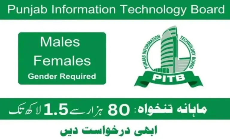 PITB Jobs 2025 PITB Jobs 2025